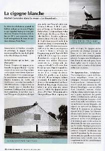 Cigogne  01 extrait de l echo d oranie 337